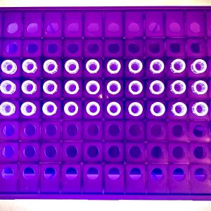 biobank samples